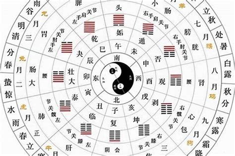 文昌五行|文昌星是什么？文昌星在十二人事宫